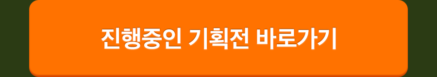 상회 11월 프로모션 11