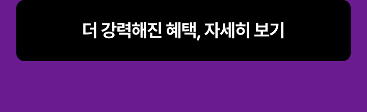 기획전