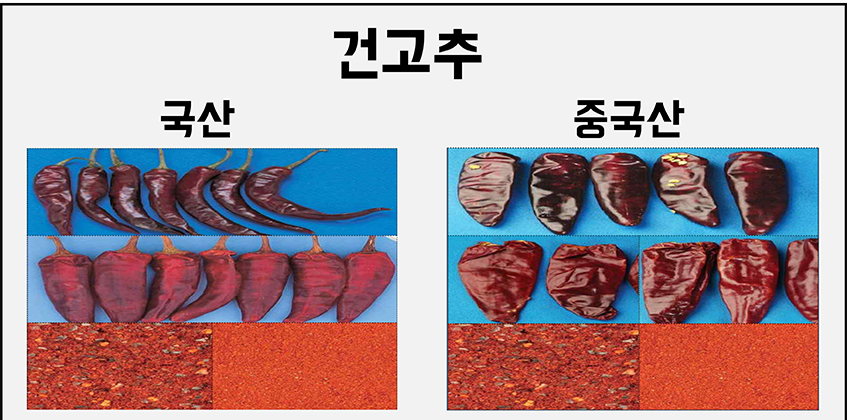 건고추