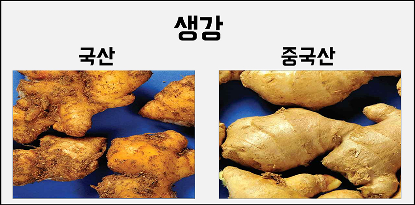 생강