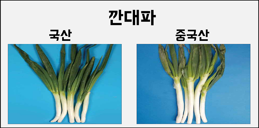 깐대파