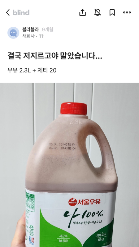 대용량 우유와 제티