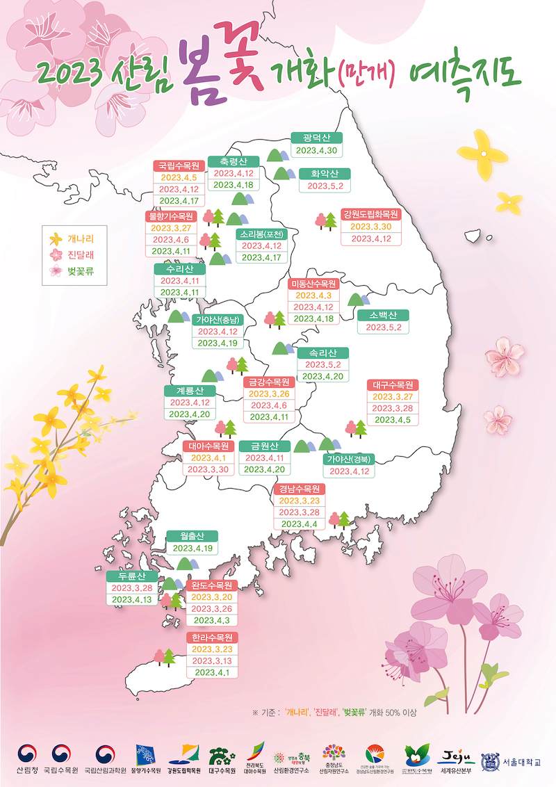 산림청 봄꽃 예측지도