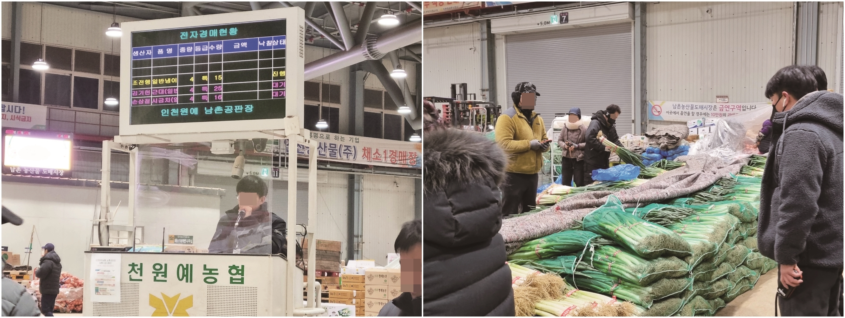 리치푸드