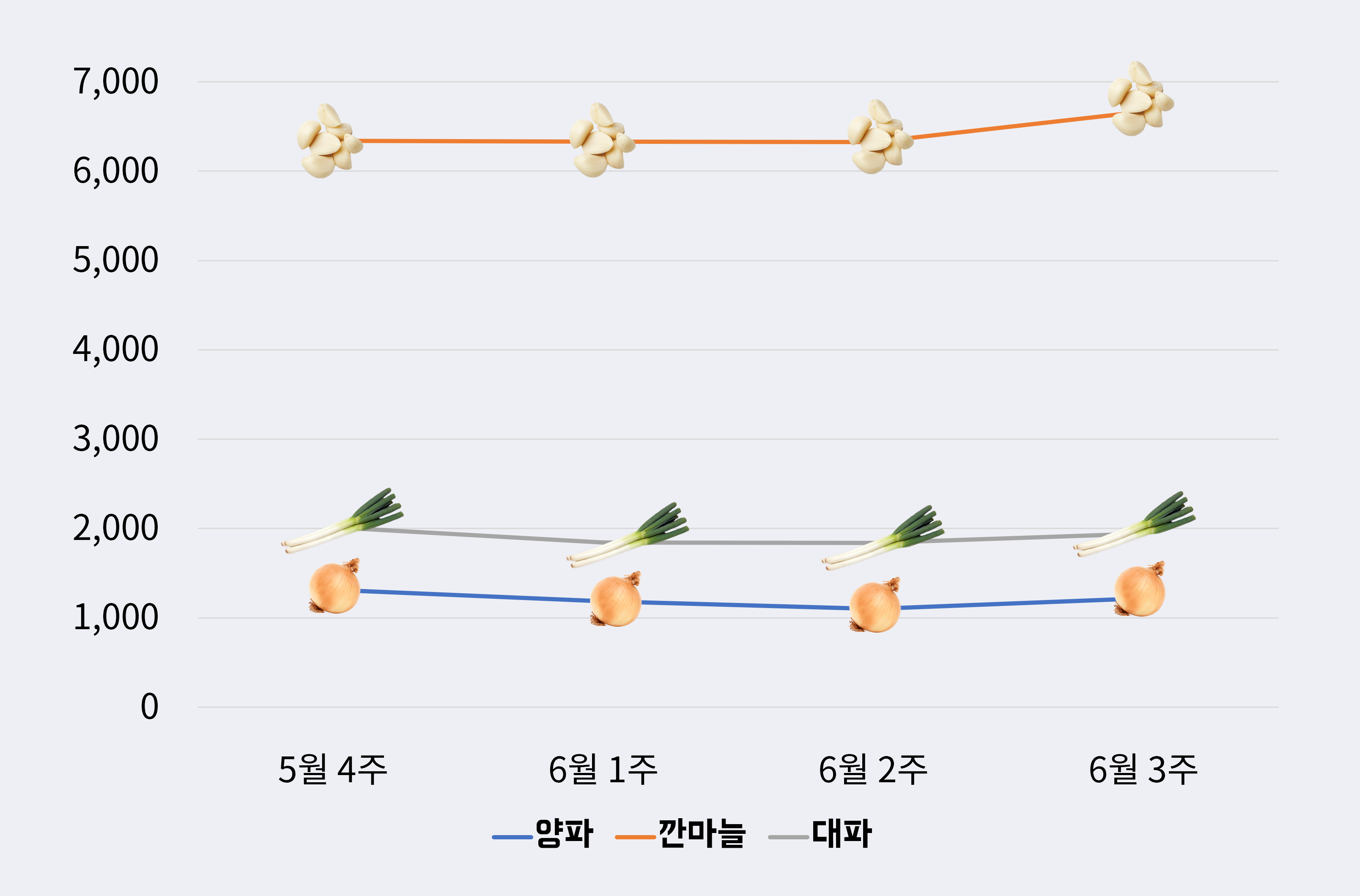 가격동향