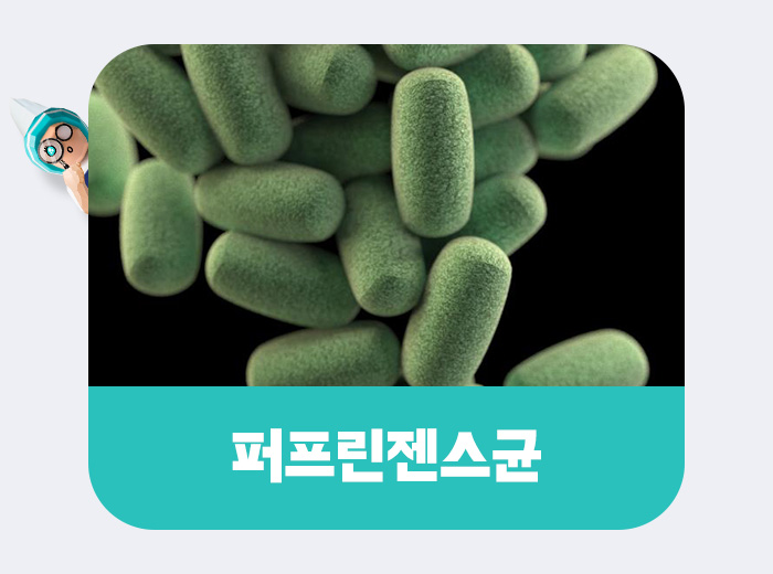 퍼프린젠스