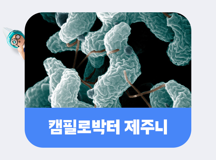 제주니