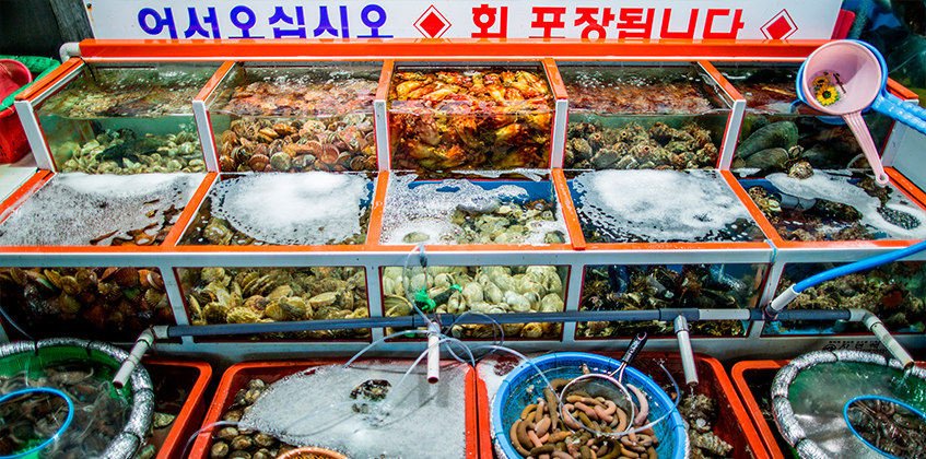 해산물