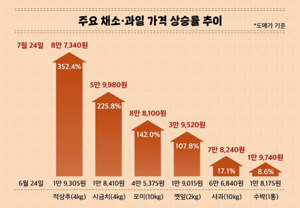 채소물가
