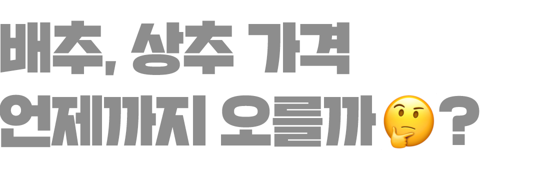 서브