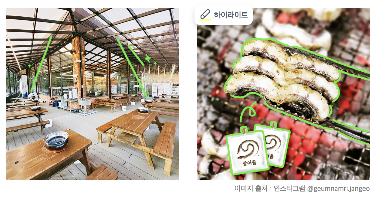 외계레터, 장어, 기력보충, 기력보충음식
