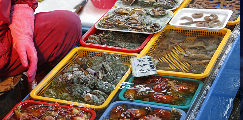 본문