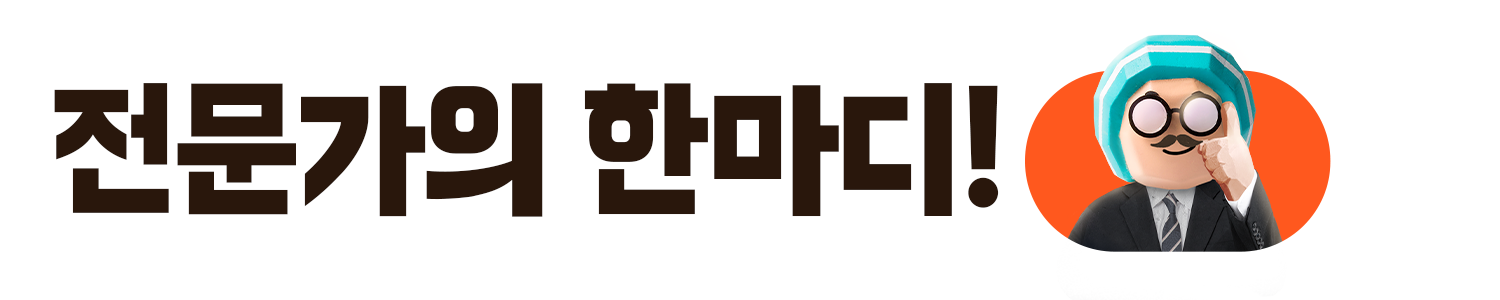 전문가의한마디