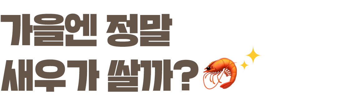 메인타이틀