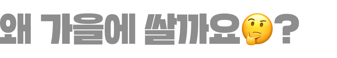 서브타이틀1