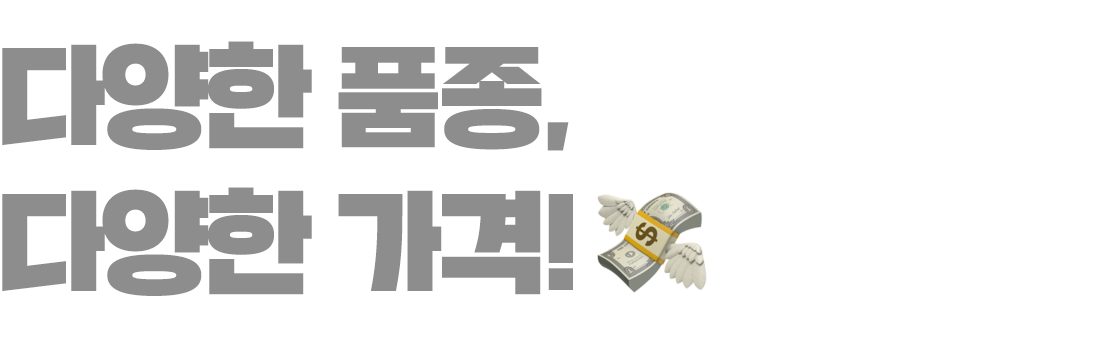 서브타이틀2