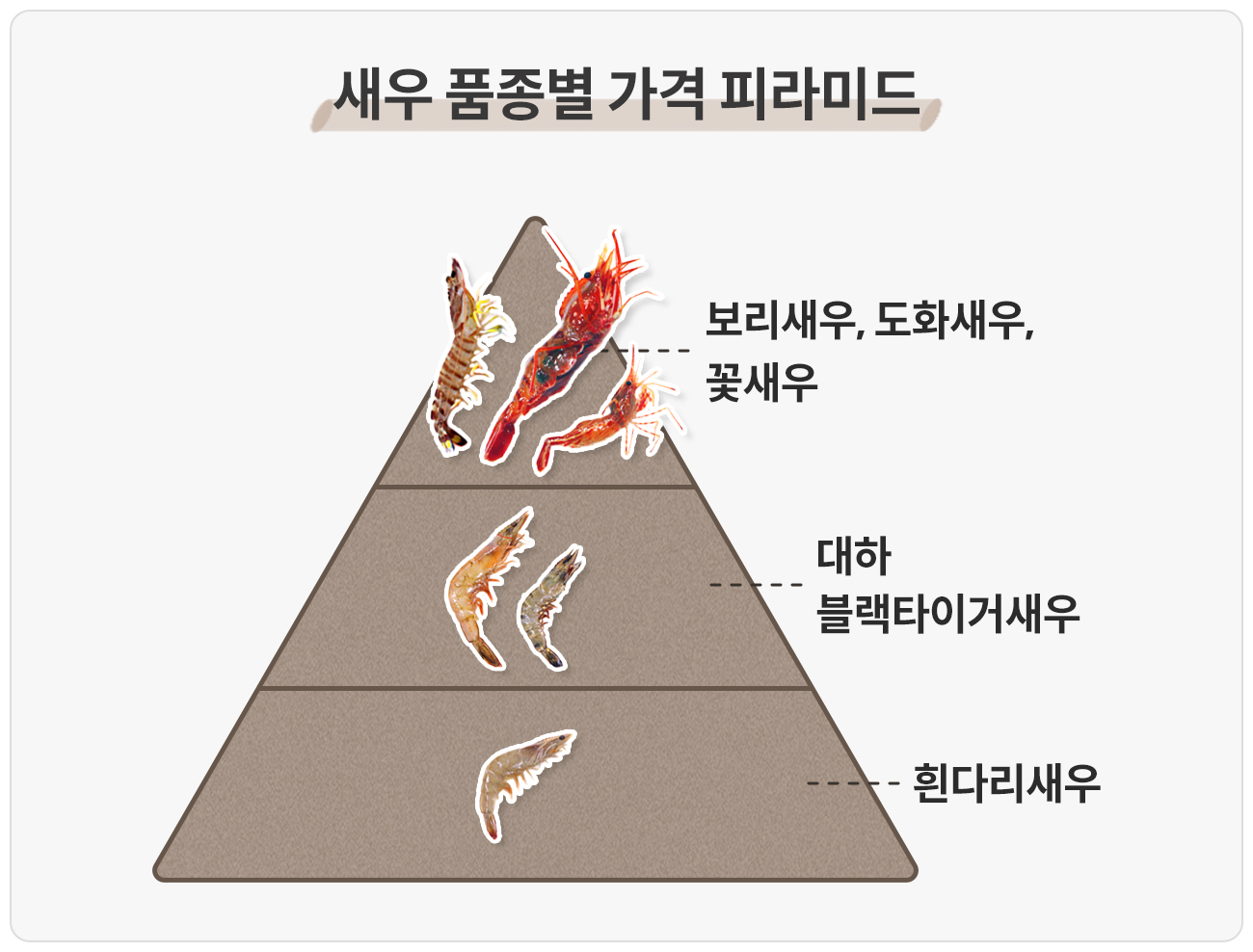 새우 품중