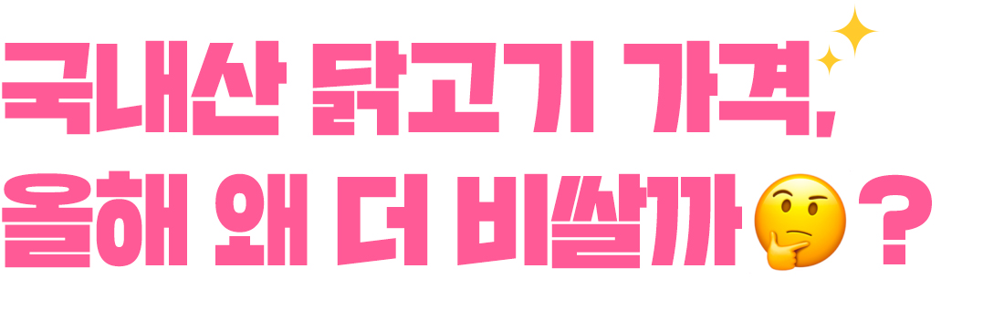 메인 타이틀