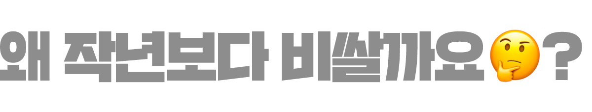 서브 타이틀 1