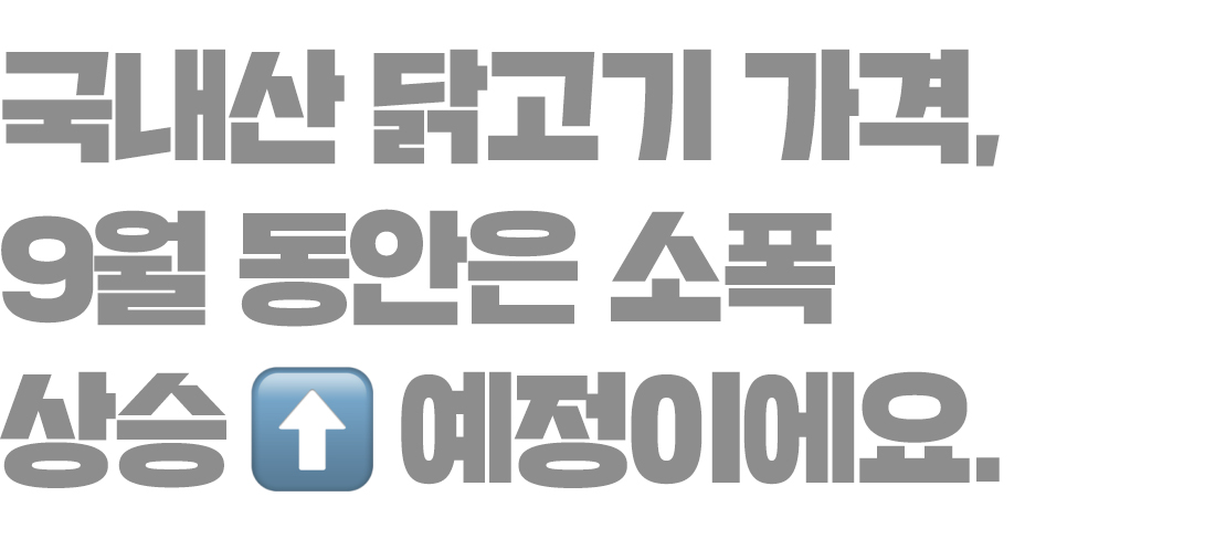 서브타이틀 2