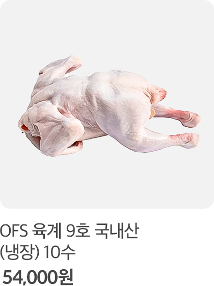 국내 육계 1