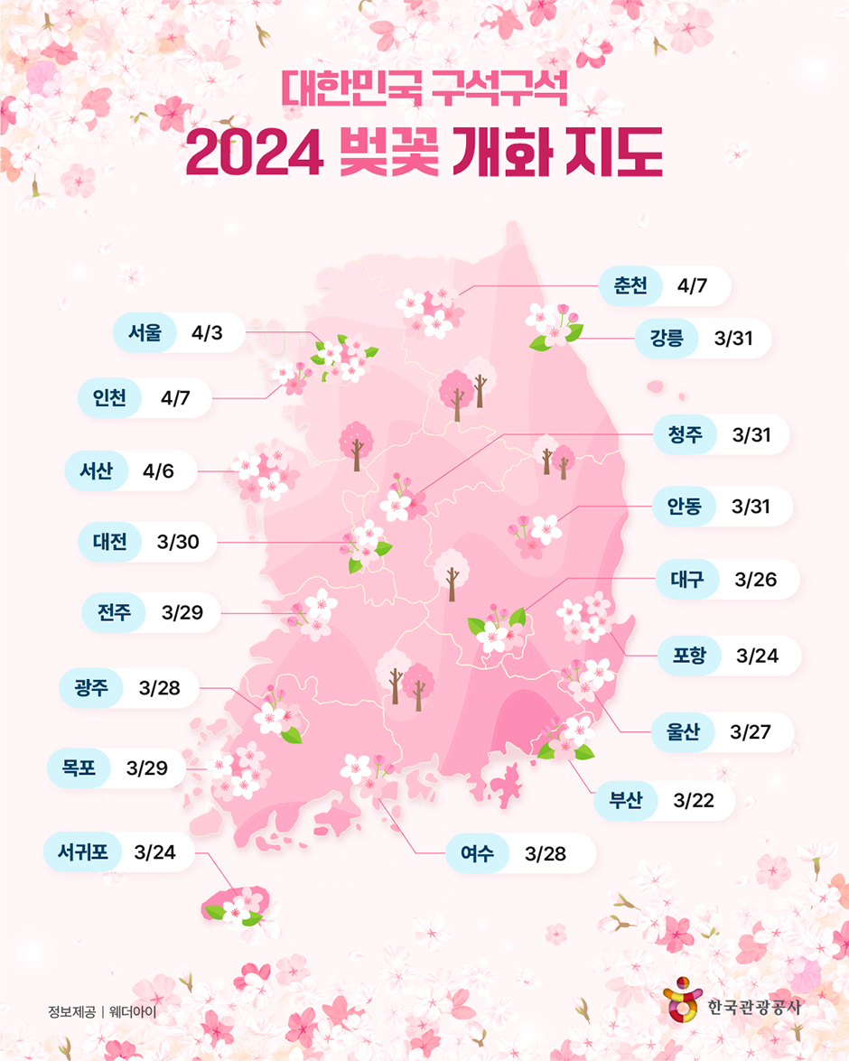 벚꽃개화시기
