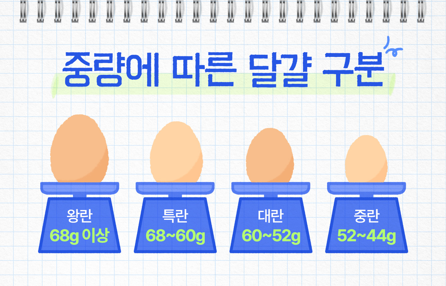 식당에서 제일 많이 쓰는 계란 크기는? (선물 증정 🎁)