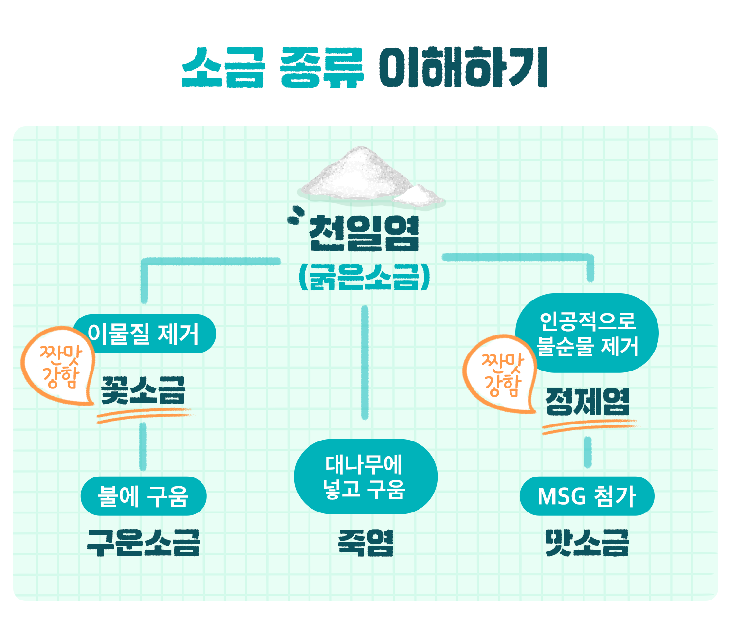 퀴즈! 해산물, 고기, 채소 요리에 다양하게 어울리는 소금의 이름은? (선물 증정 🎁)