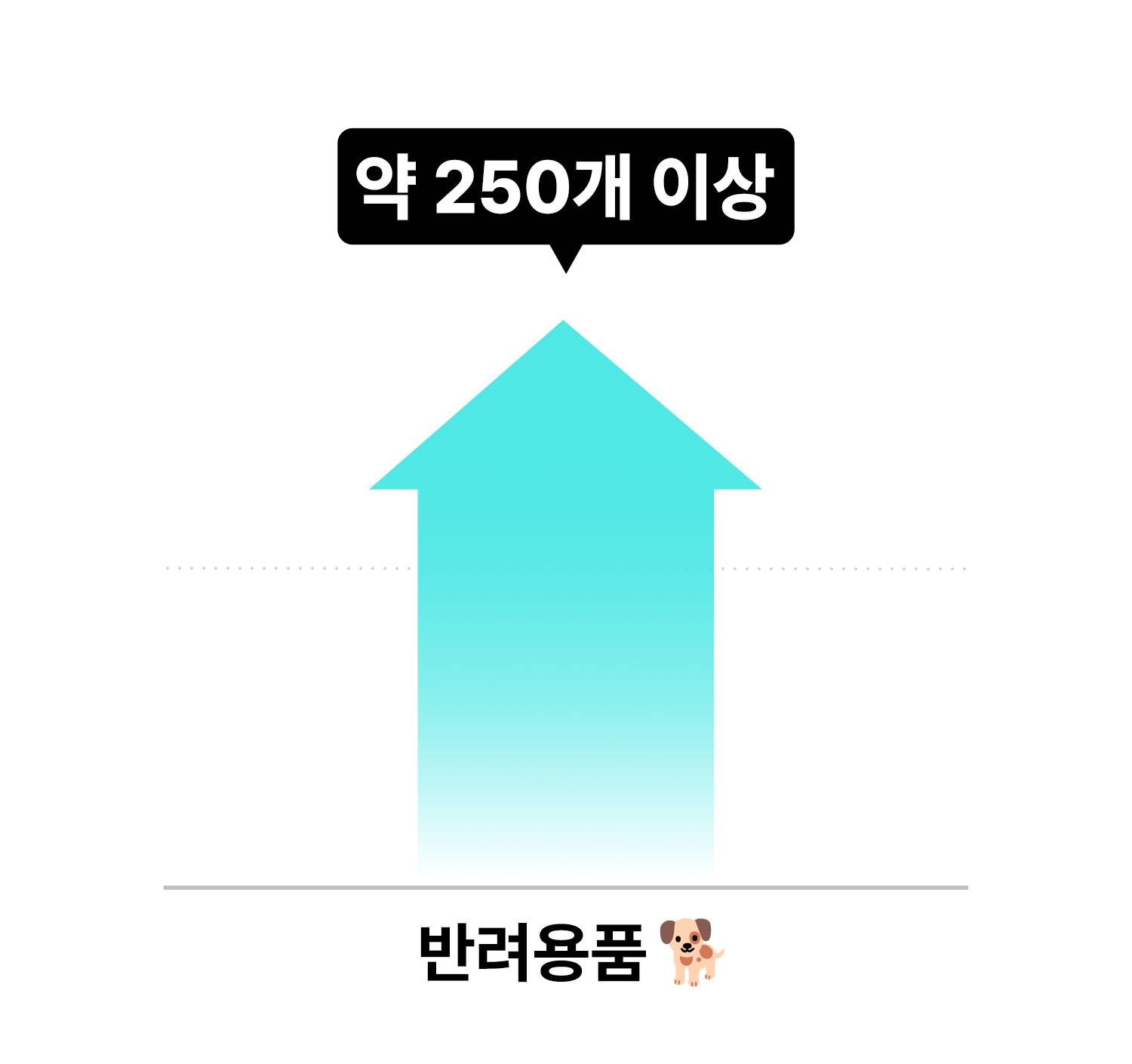상품수 고민고만