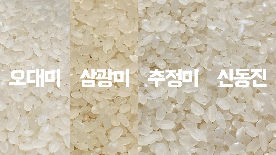 쌀 비교