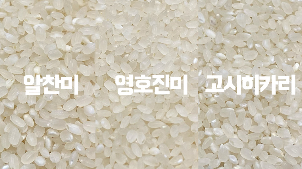 쌀 비교(특)