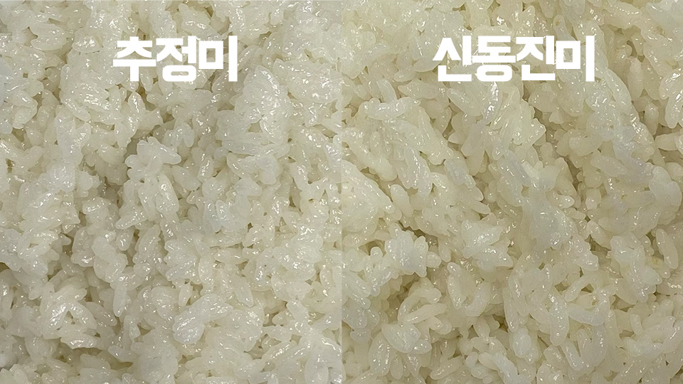 추정미 신동진미