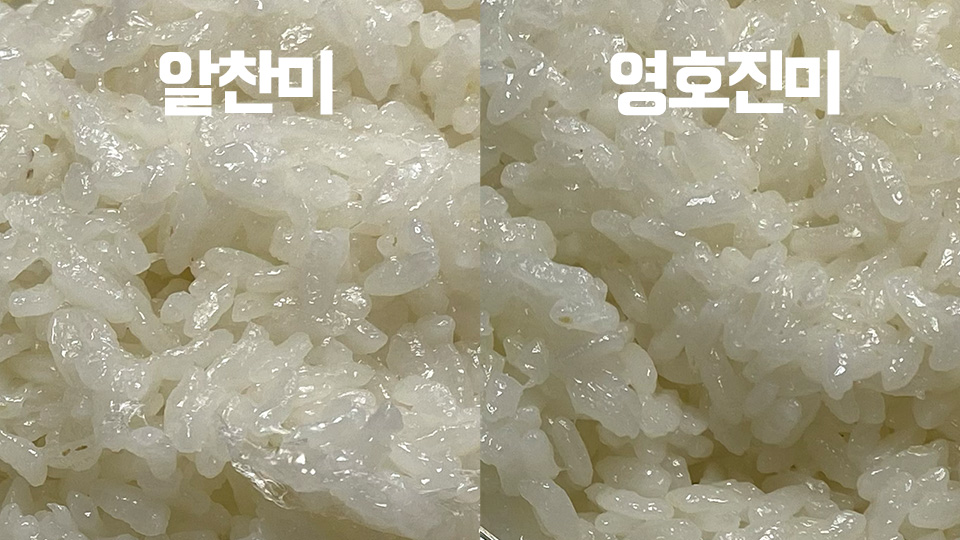 알찬미 영호진미