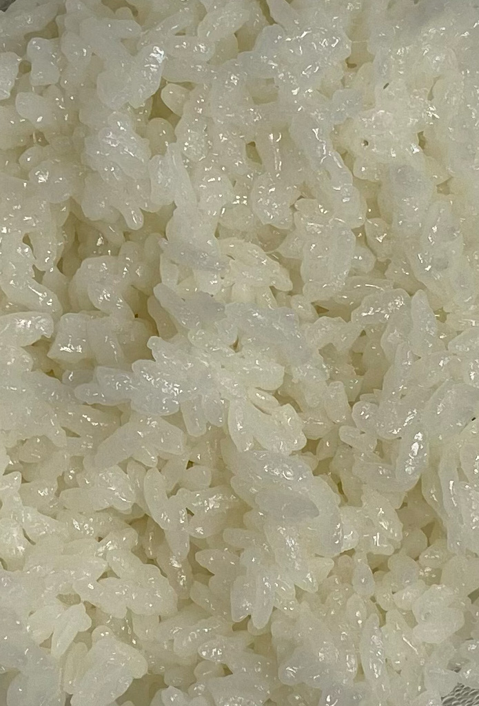 고시히카리