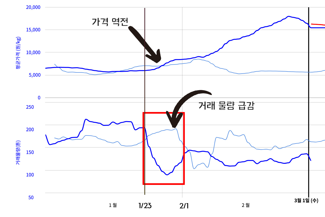 청양고추