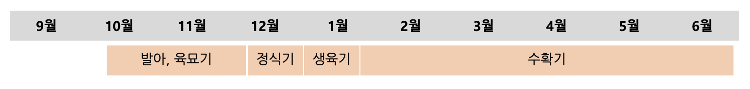 청양고추