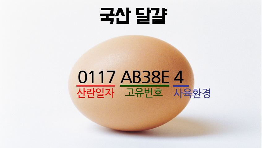 국산달걀