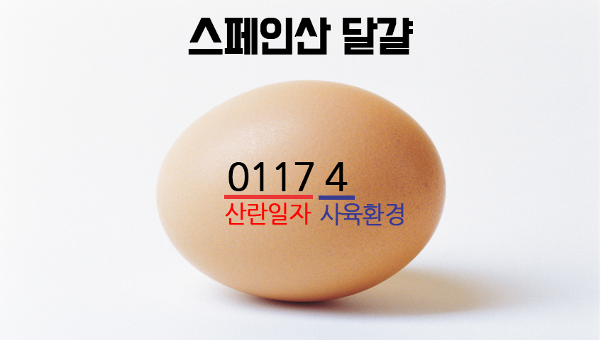 스페인산달걀