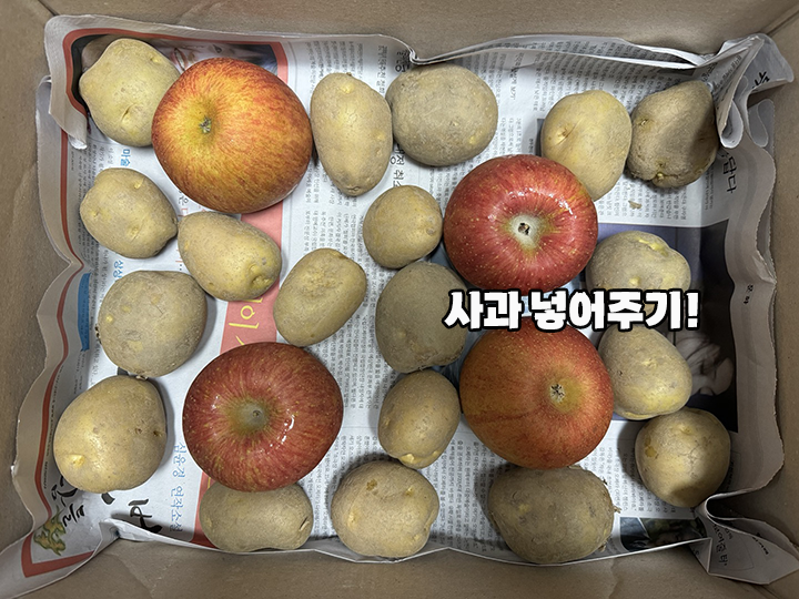 사과
