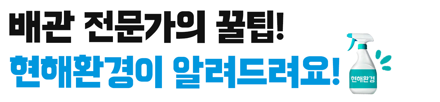 서브타이틀