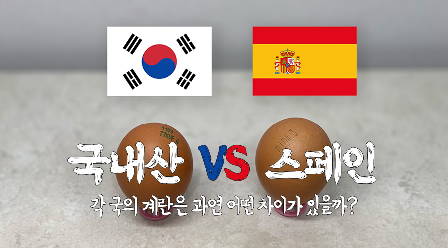 국산 계란과 스페인산 계란의 차이