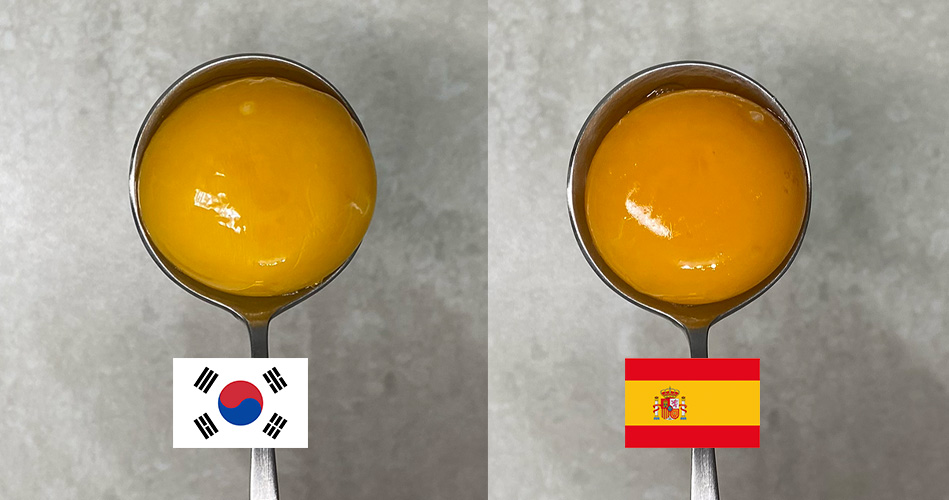 국산 계란과 스페인산 계란의 차이