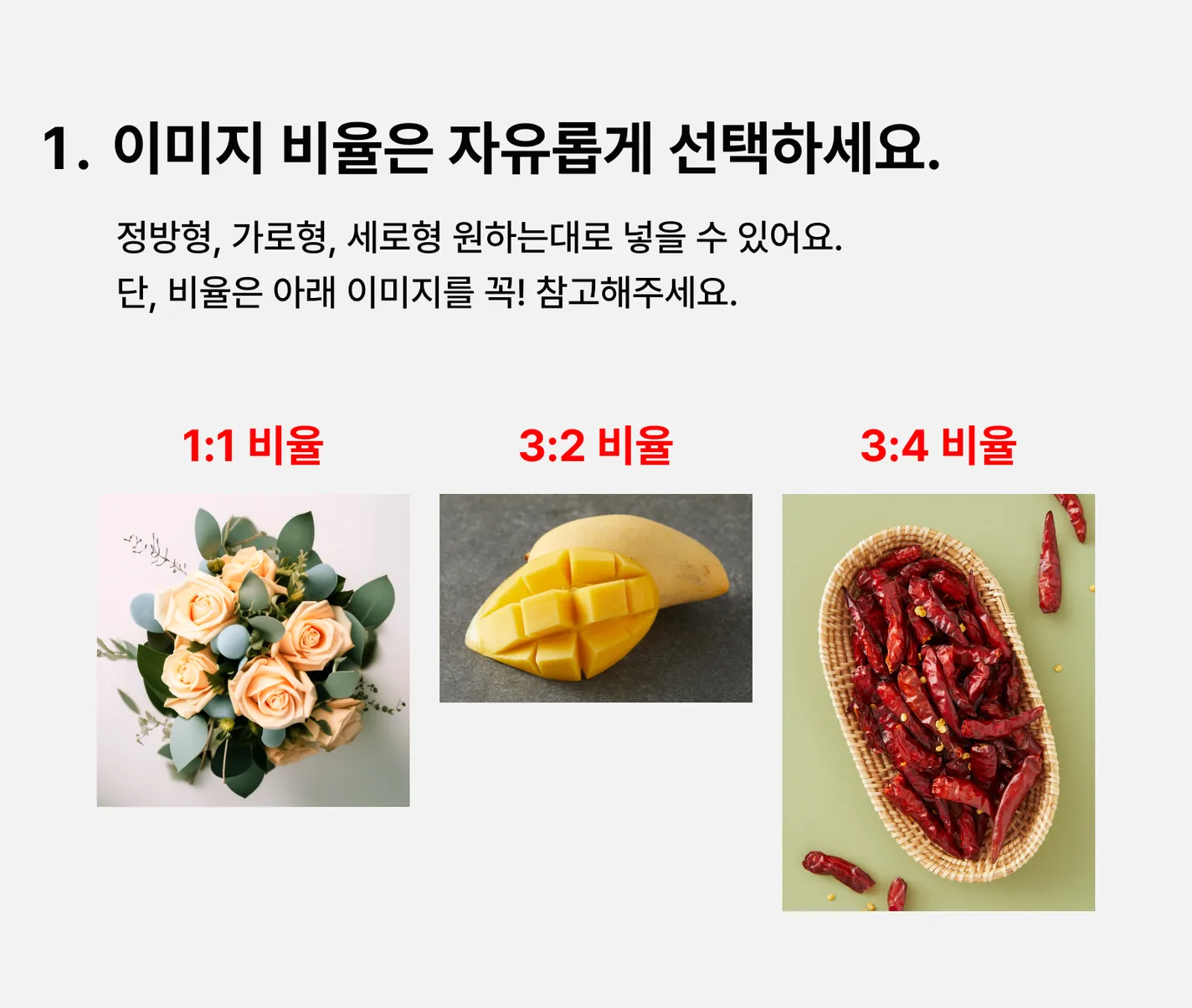 이미지 비율