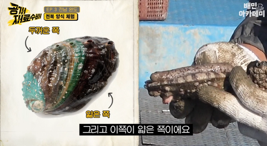 재료1