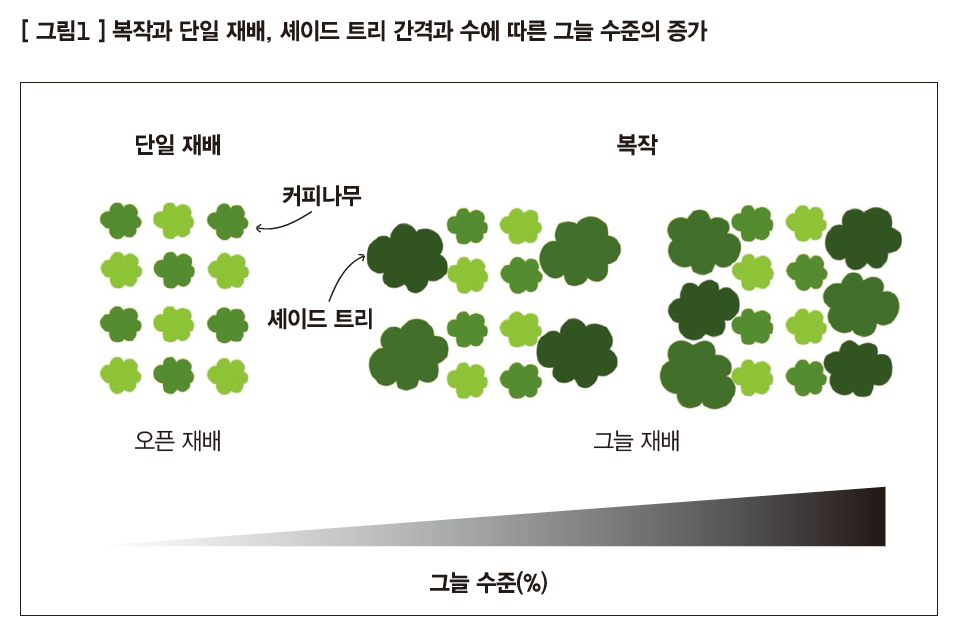 셰이드 트리 간격과 수에 따른 그늘 수준의 증가