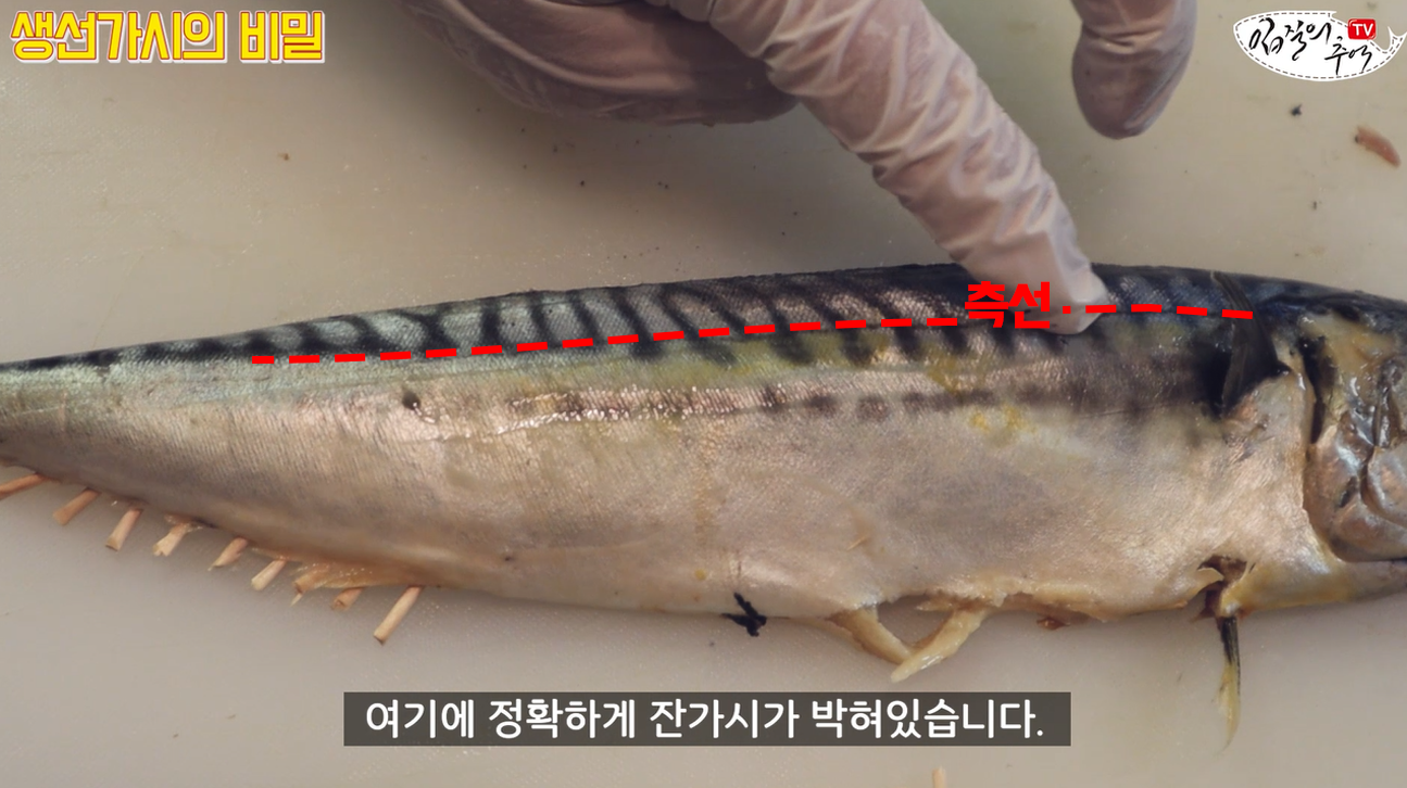 고등어손질2