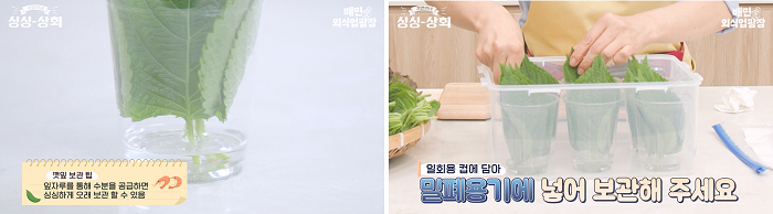 깻잎보관
