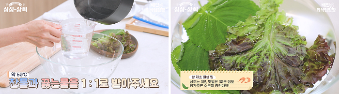 상추깻잎 살리기