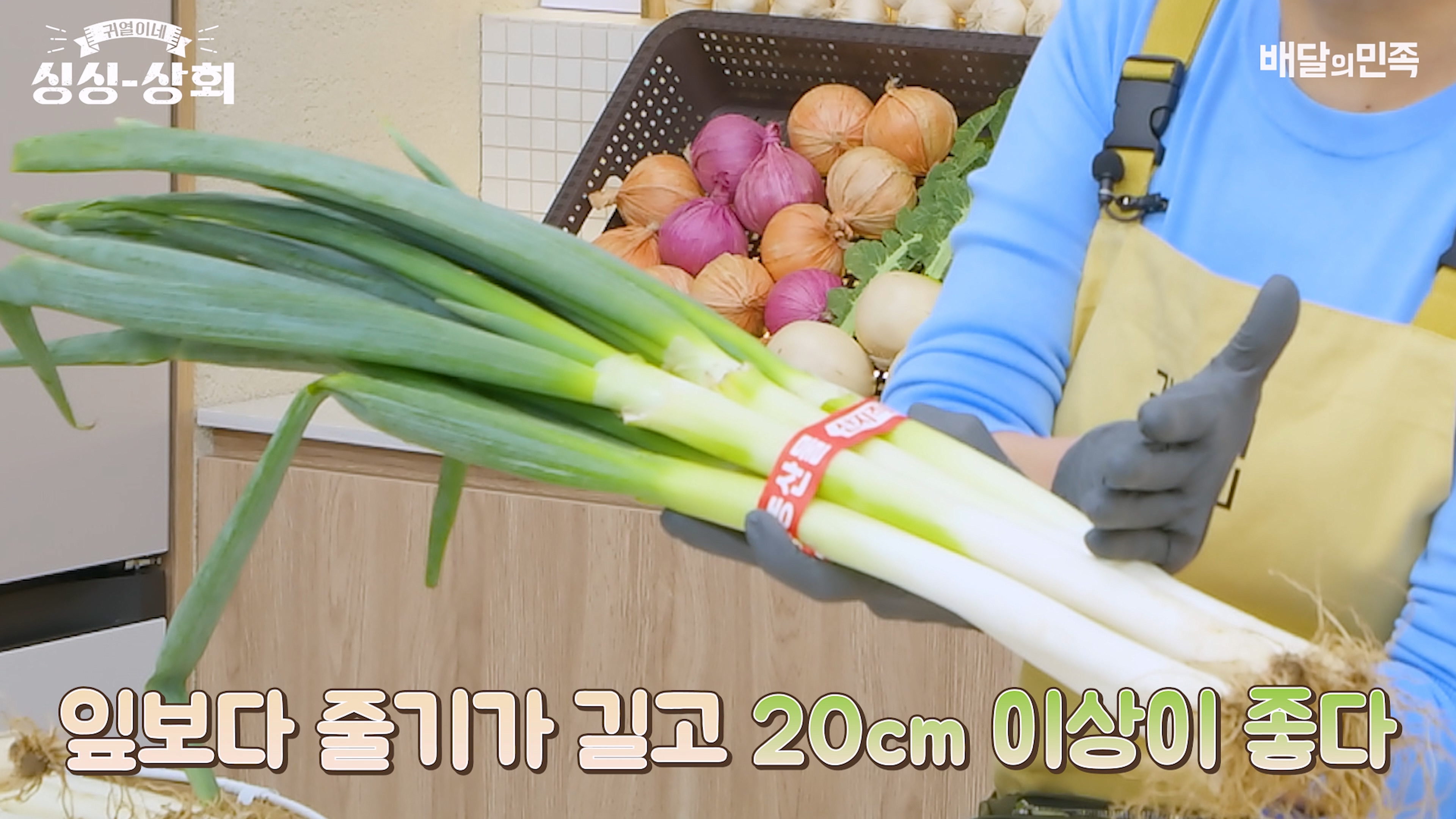 대파