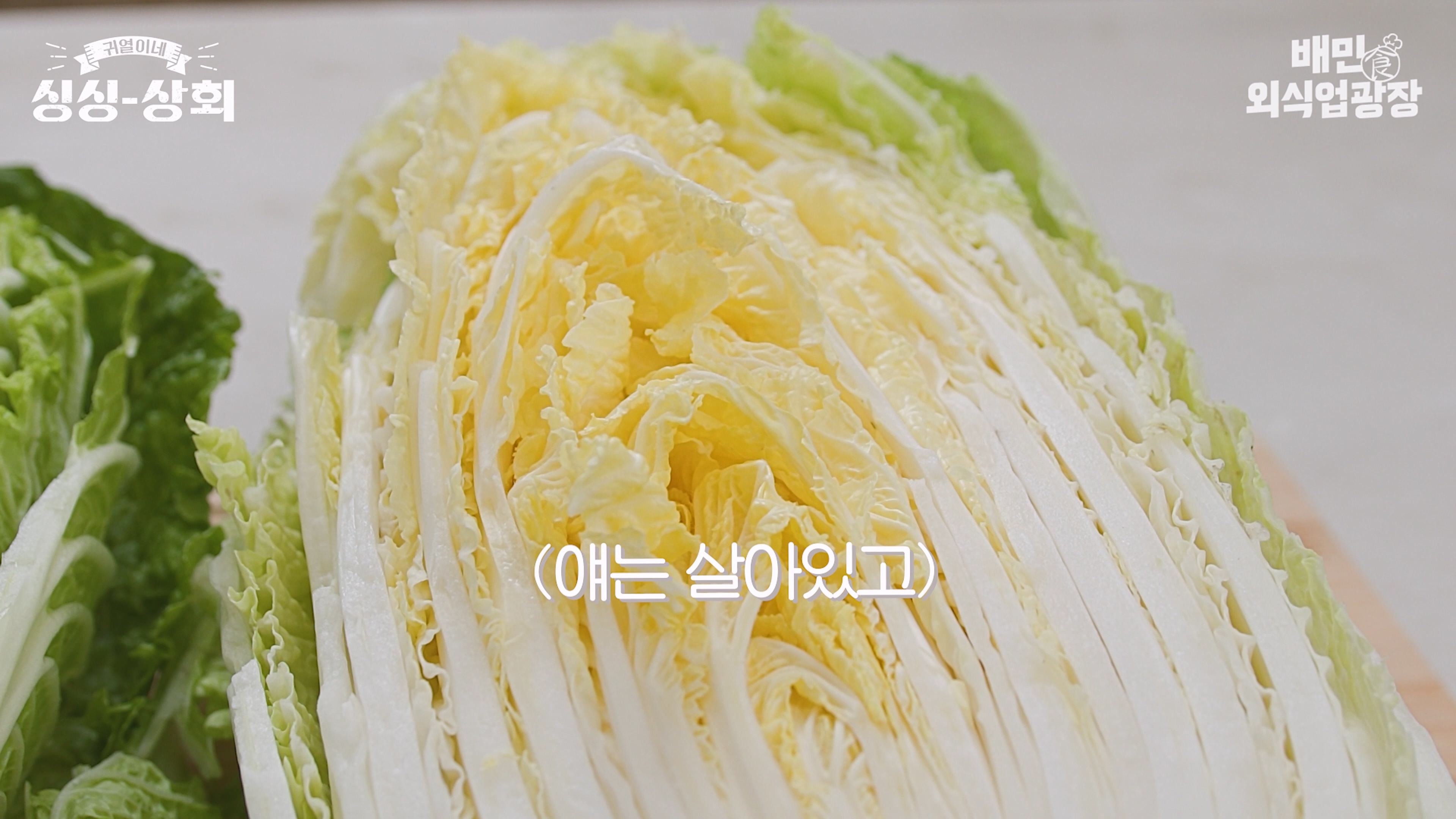 배추